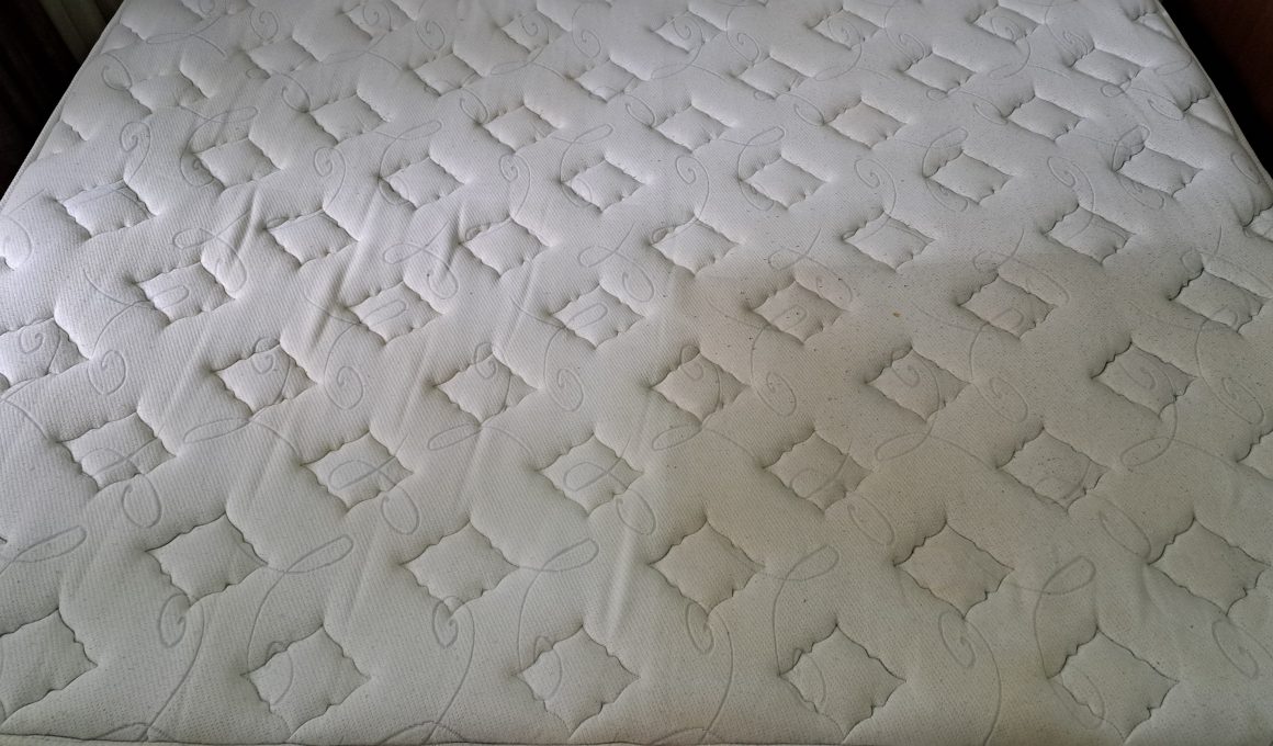 curatare cu aburi spalatorie pentru saltele oradea, spalare saltele oradea, igienizare saltele oradea, spalatorie saltea oradea,curatatorie saltea oradea